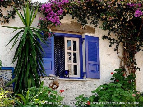 Blue shutters