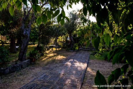 Calles_Valldemossa_14
