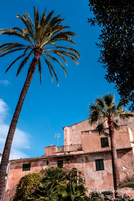 ban%cc%83os-arabes_10