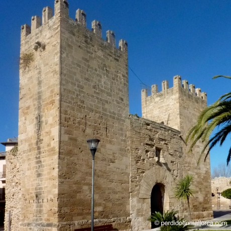 Pta_Moll_Vell_Alcudia