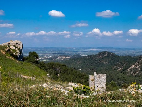 Castillo_Santueri_20