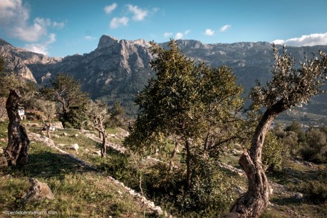 01_Serra_Fornalutx_IG